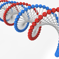 創英のDNA